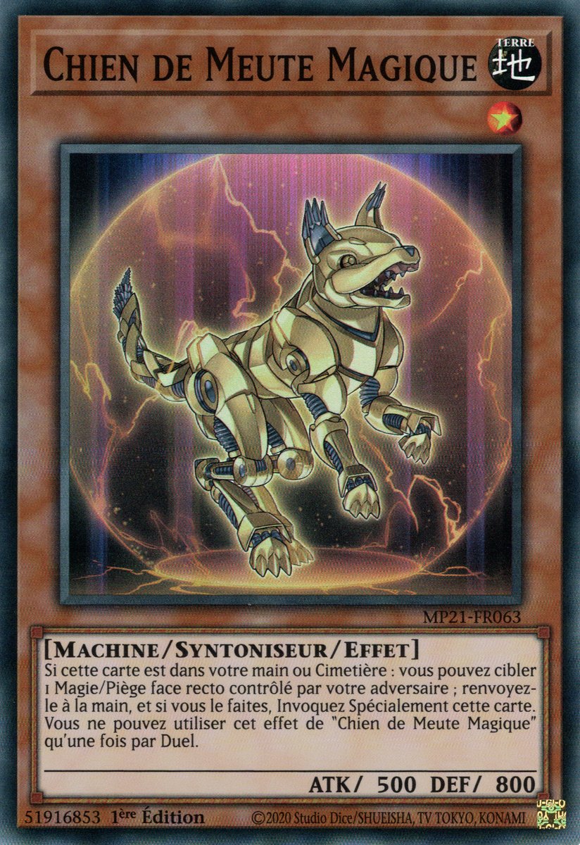 Magical Hound