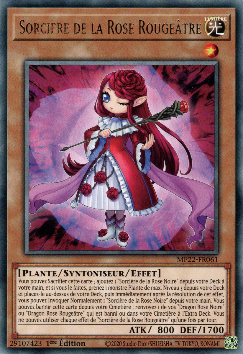 Ruddy Rose Witch
