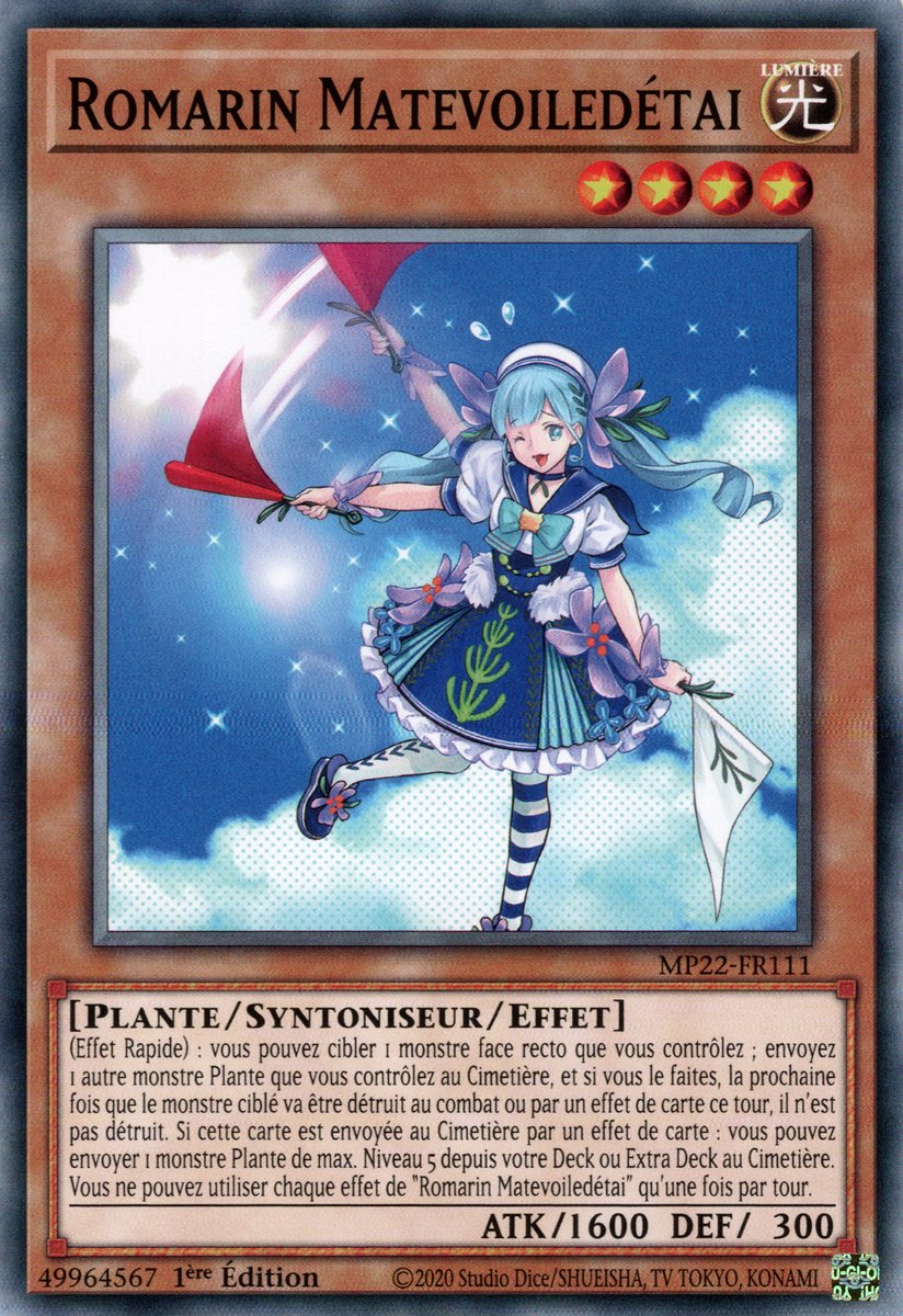 Staysailor Romarin
