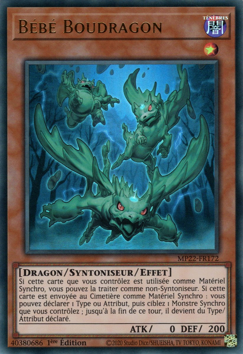 Baby Mudragon