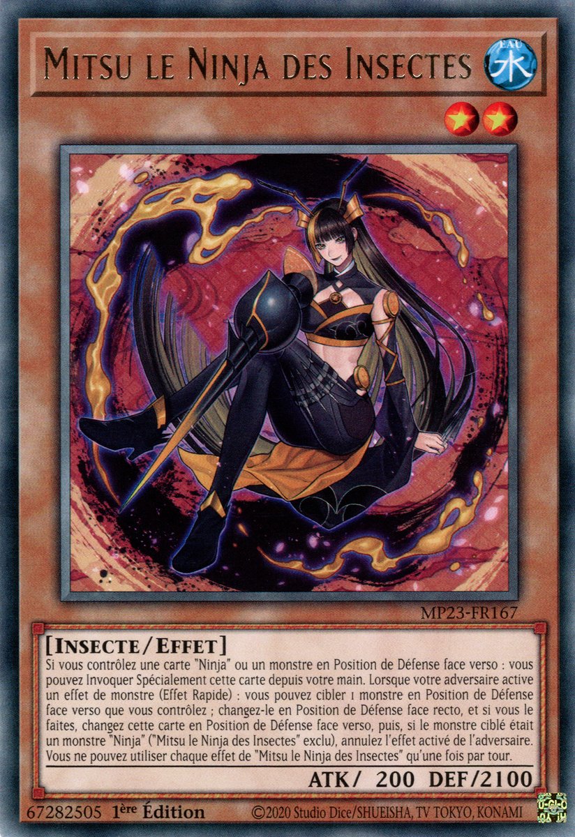 Mitsu le Ninja des Insectes