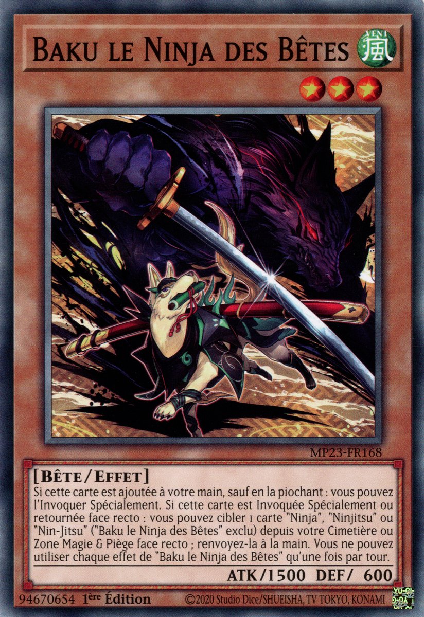 Baku le Ninja des Bêtes
