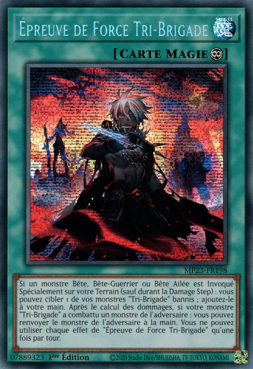 Épreuve de Force Tri-Brigade
