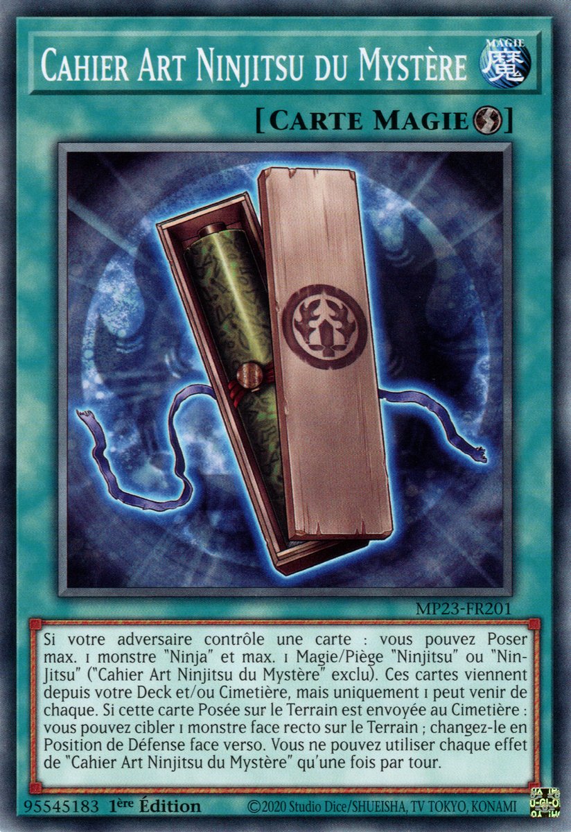 Cahier Art Ninjitsu du Mystère
