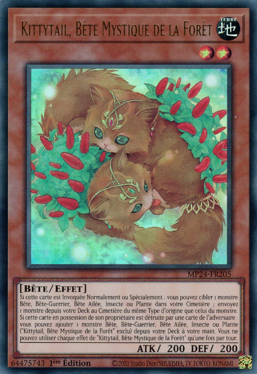 Kittytail, Bête Mystique de la Forêt