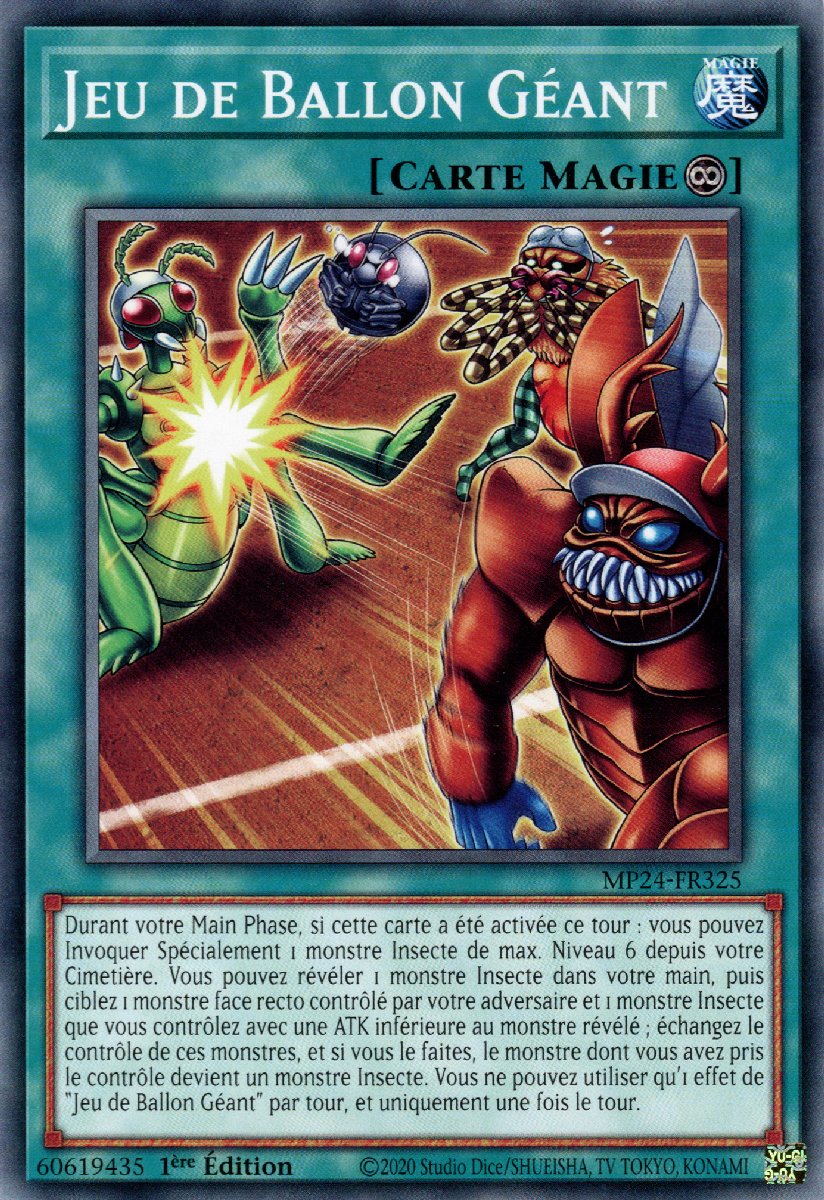 Jeu de Ballon Géant