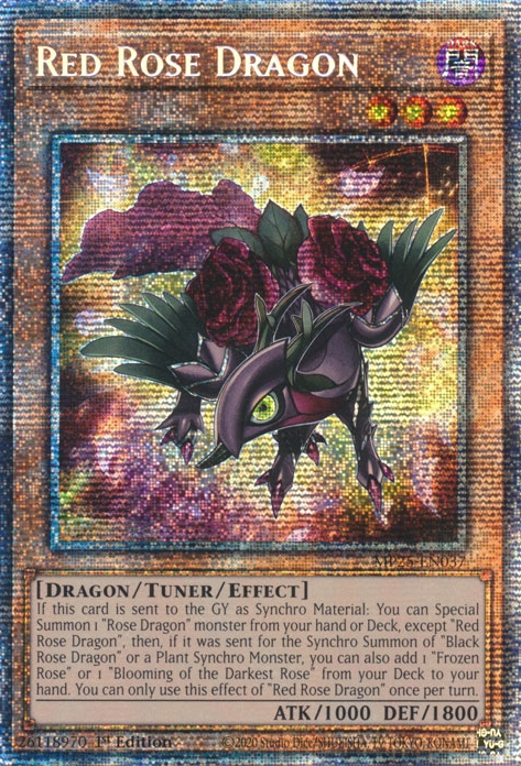 Red Rose Dragon