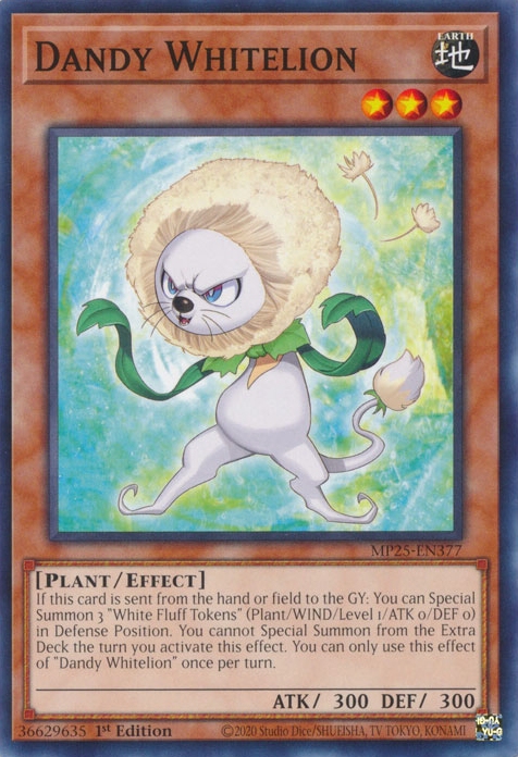 Dandy Whitelion