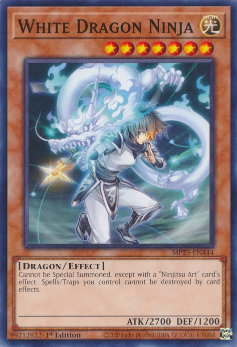 White Dragon Ninja
