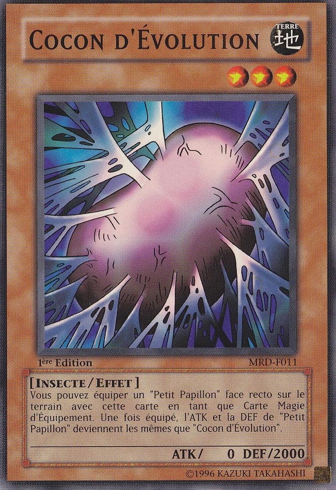 Cocoon of Evolution