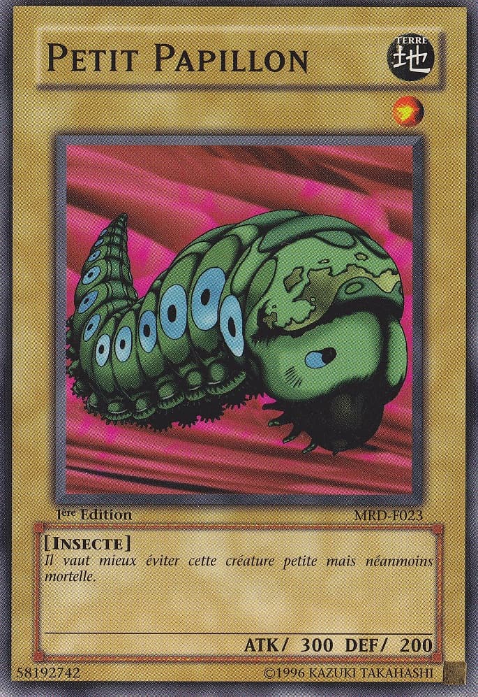 Petit Moth