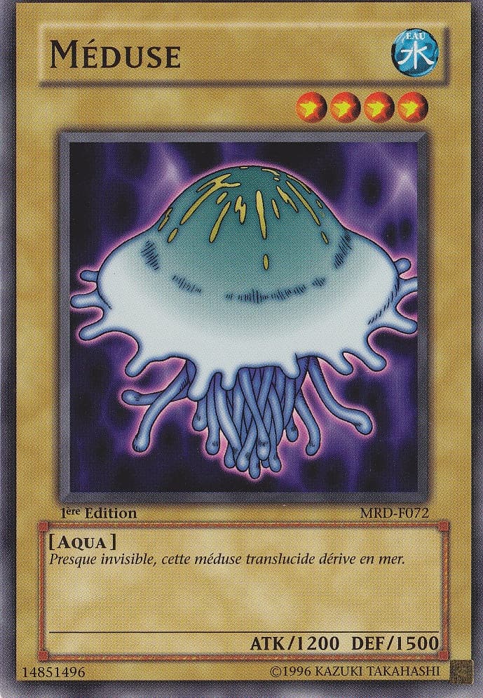 Jellyfish