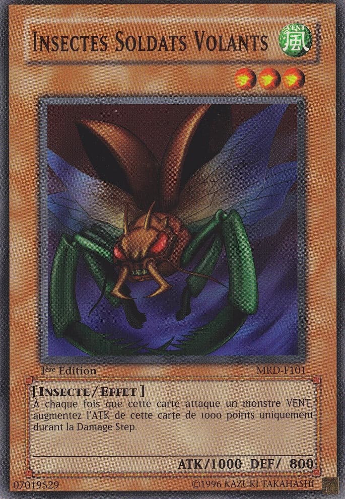 Insect Soldiers of the Sky
