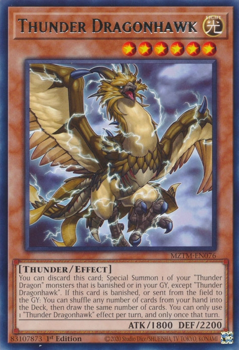 Faucondragon du Tonnerre