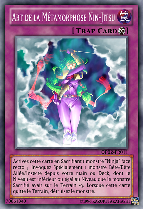 Ninjitsu Art of Transformation