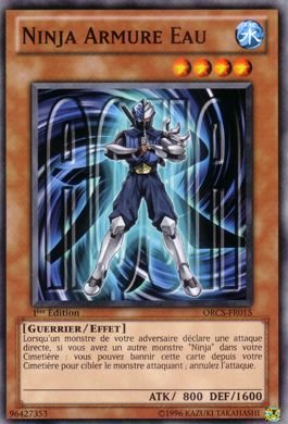 Ninja Armure Eau