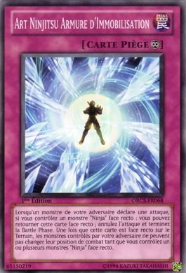 Art Ninjitsu Armure d'Immobilisation