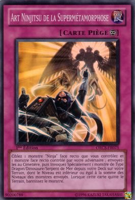 Art Ninjitsu de la Supermétamorphose