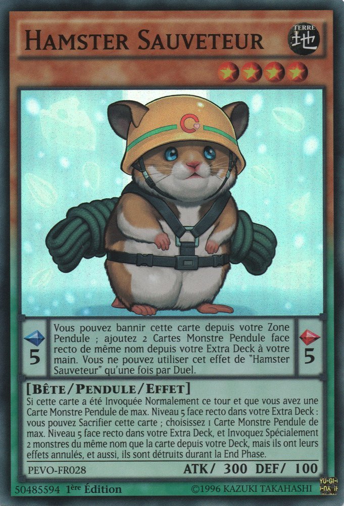 Hamster Sauveteur