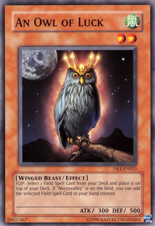 An Owl of Luck