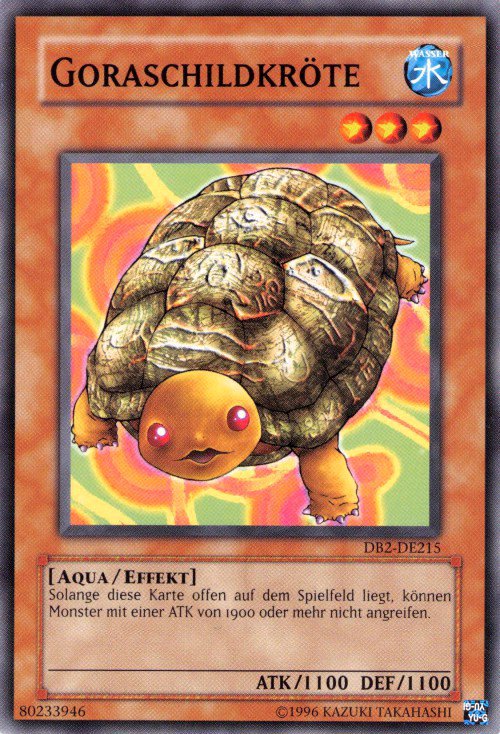 Gora Turtle