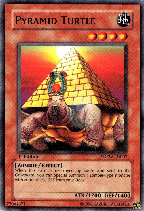 Pyramid Turtle
