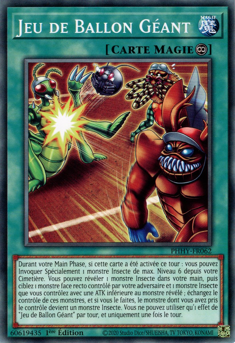 Jeu de Ballon Géant
