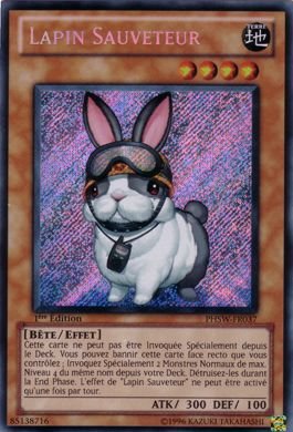 Lapin Sauveteur