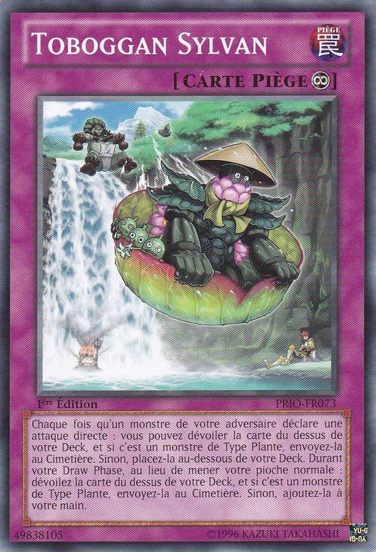 Toboggan Sylvan