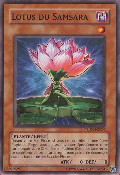 Lotus du Samsara
