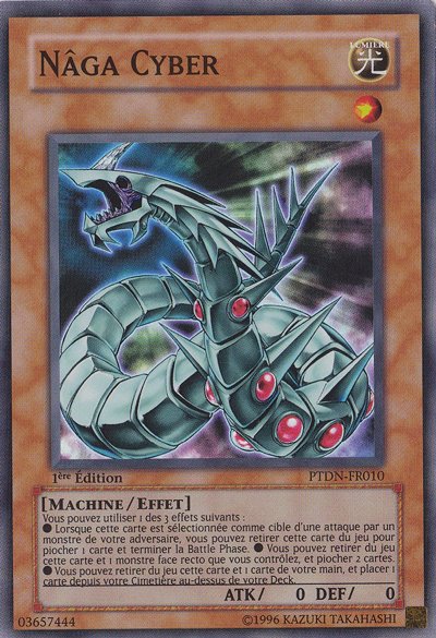 Naga Cyber