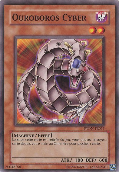Ouroboros Cyber