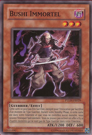 Bushi Immortel