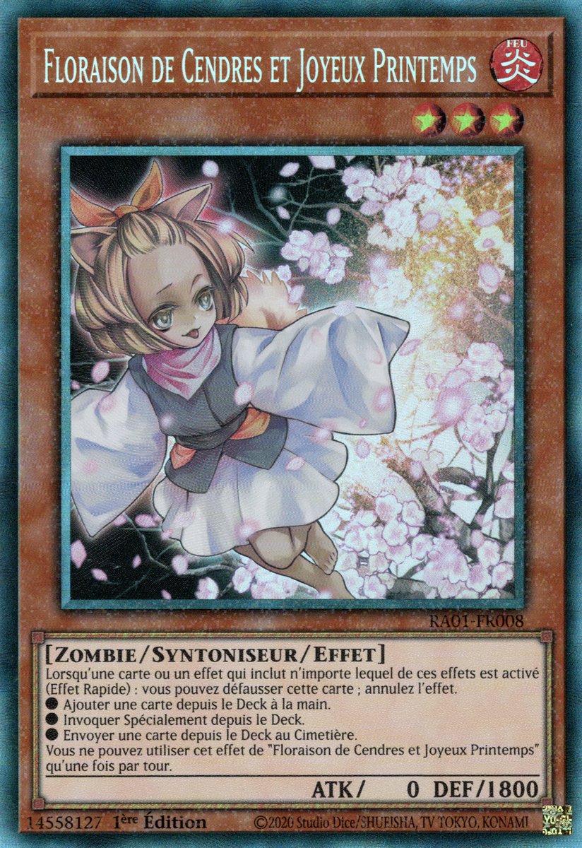 6 - Prismatic Collectors Rare