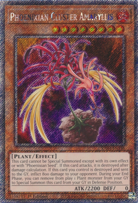 1 - Extra Secret Rare