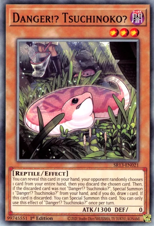 Danger!? Tsuchinoko?
