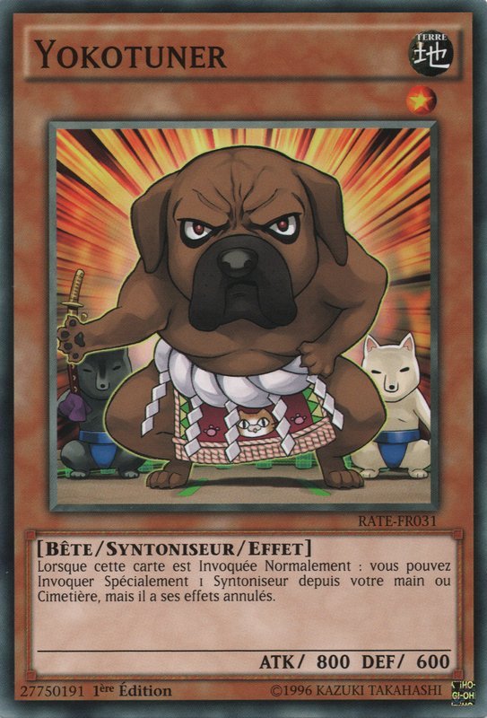 Yokotuner