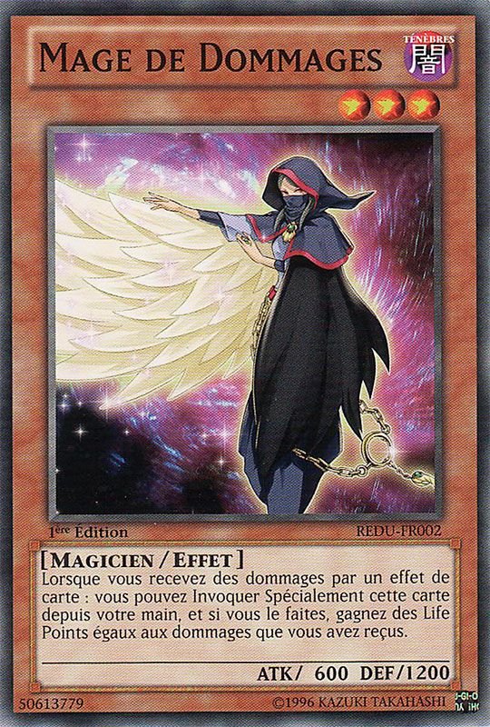 Mage De Dommages