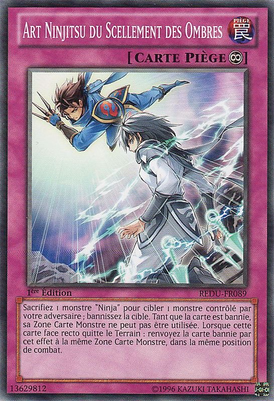 Art Ninjitsu Du Scellement Des Ombres