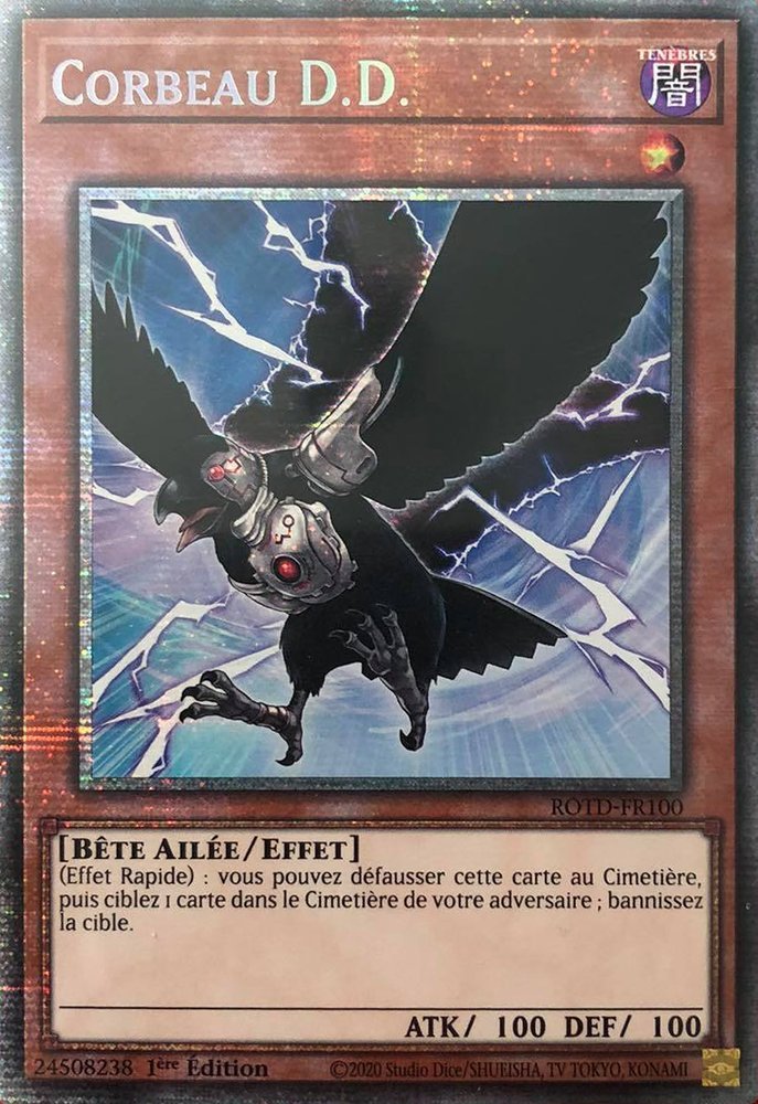 Corbeau D.D.