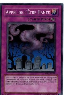 Appel de l'Être Hanté