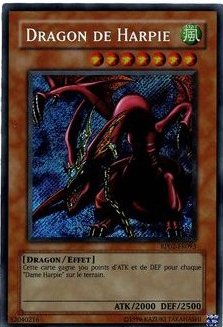 Dragon de Harpie