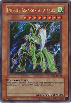 Insecte Assassin à la Faux