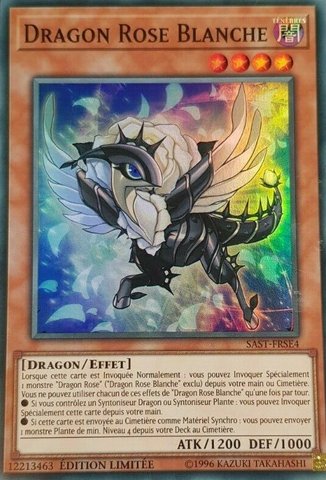 White Rose Dragon