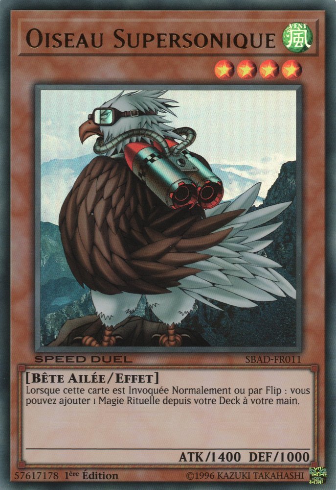 Oiseau Supersonique