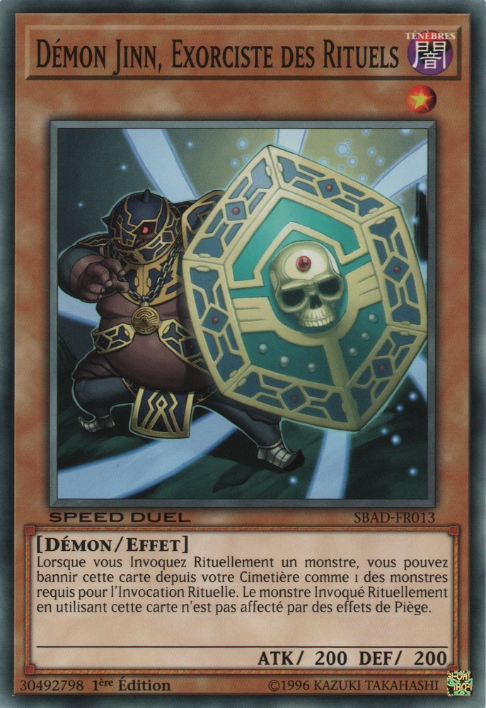 Démon Jinn, Exorciste des Rituels
