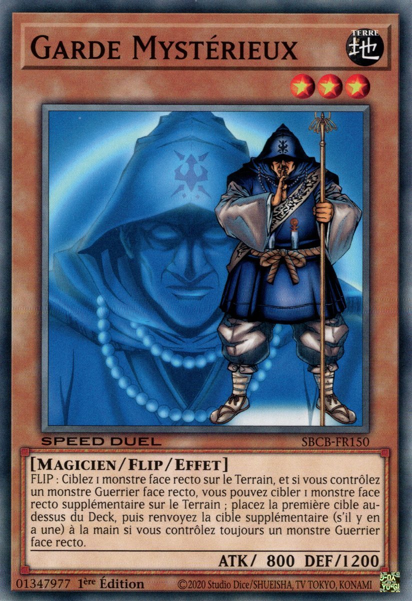 Mysterious Guard