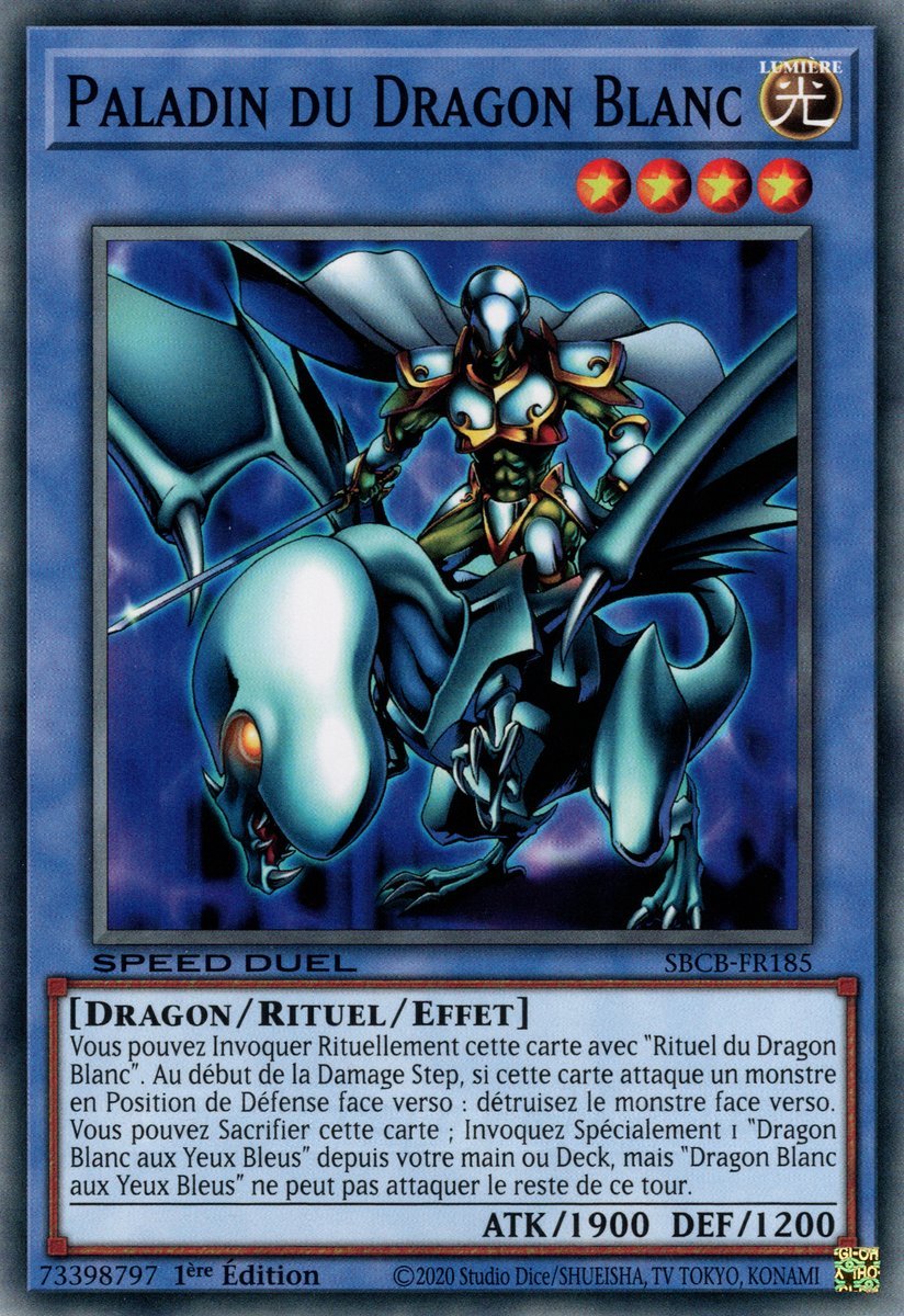Paladin of White Dragon