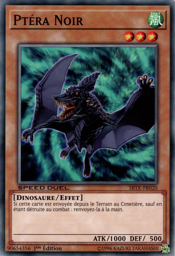 Ptéra Noir