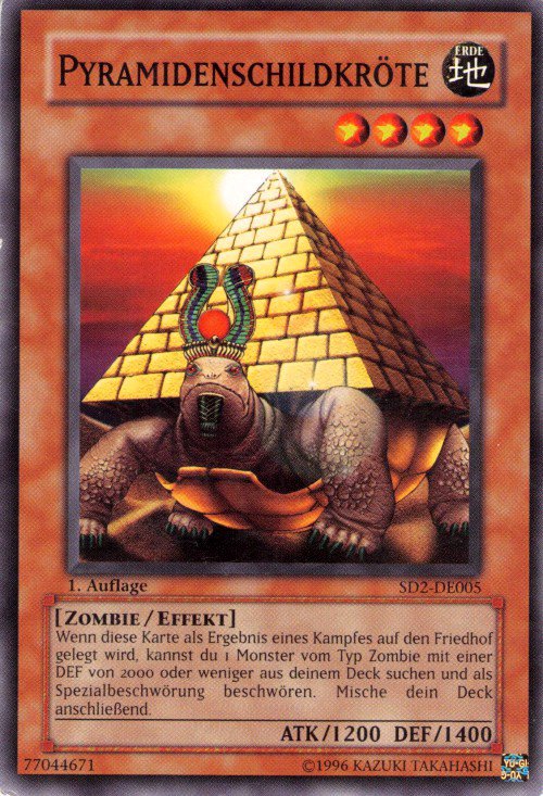 Tortue Pyramide